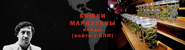 стаф Осинники