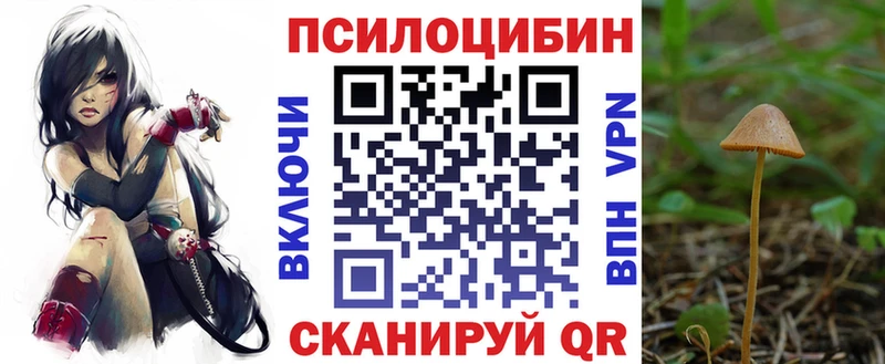 Купить где  Суоярви  Галлюциногенные грибы мицелий 